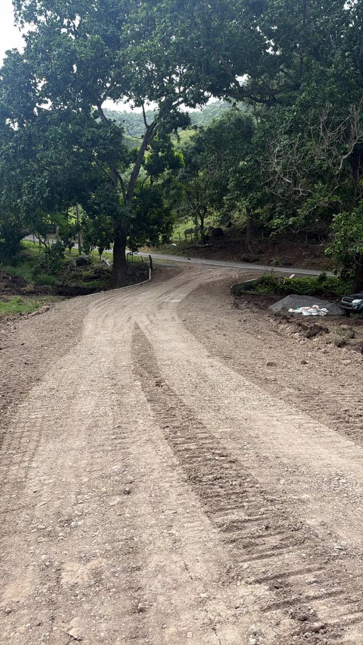 Road by the front gate to the main road